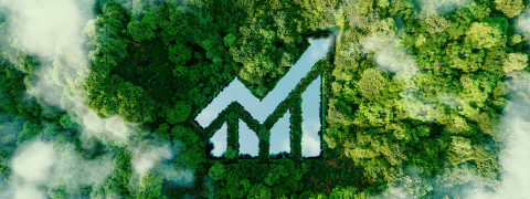 [CLOSED] Tender: Independent Verification of Emissions Methodology